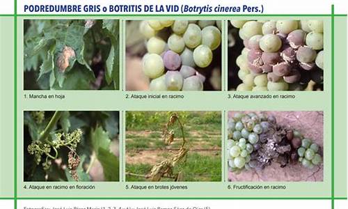 柯坪VD爐除塵器