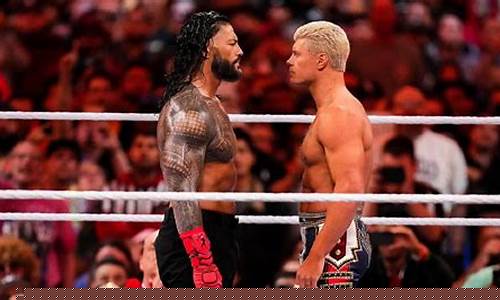 cdy布袋除塵器圖紙